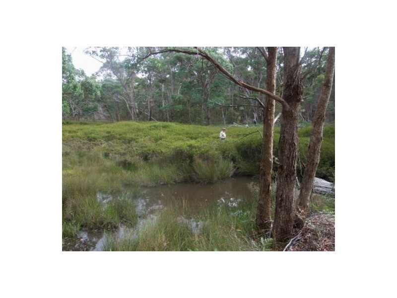 Lot 165 Bushy Park Drive, Glen Innes NSW 2370