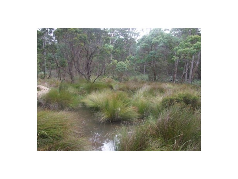 Lot 165 Bushy Park Drive, Glen Innes NSW 2370