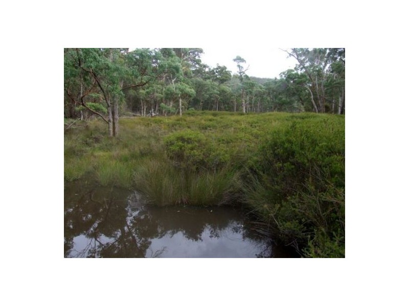 Lot 165 Bushy Park Drive, Glen Innes NSW 2370