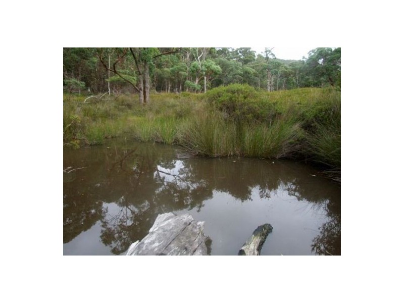 Lot 165 Bushy Park Drive, Glen Innes NSW 2370