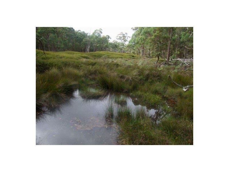 Lot 165 Bushy Park Drive, Glen Innes NSW 2370
