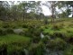 Lot 165 Bushy Park Drive, Glen Innes NSW 2370
