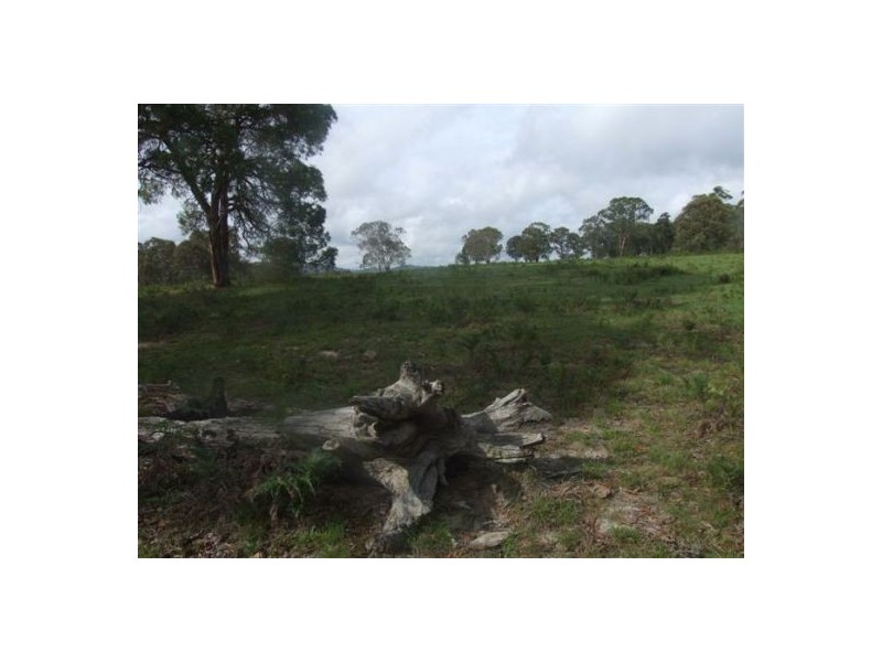 Lot 165 Bushy Park Drive, Glen Innes NSW 2370