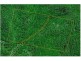 Lot 165 Bushy Park Drive, Glen Innes NSW 2370