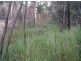 Ewingar NSW 2469