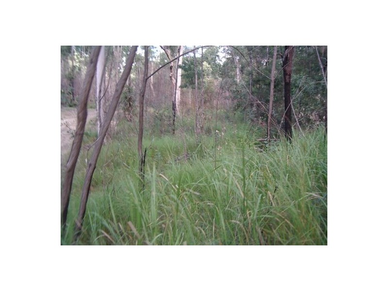 Ewingar NSW 2469