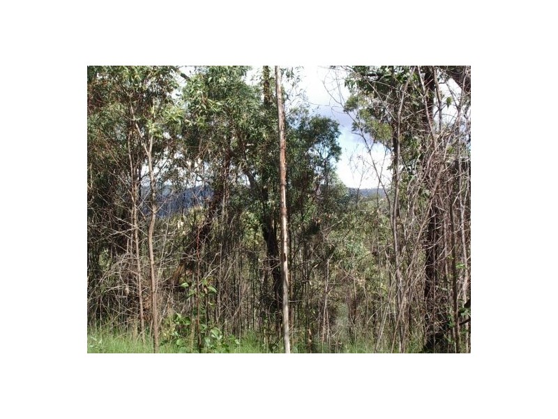 Ewingar NSW 2469