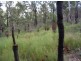Ewingar NSW 2469
