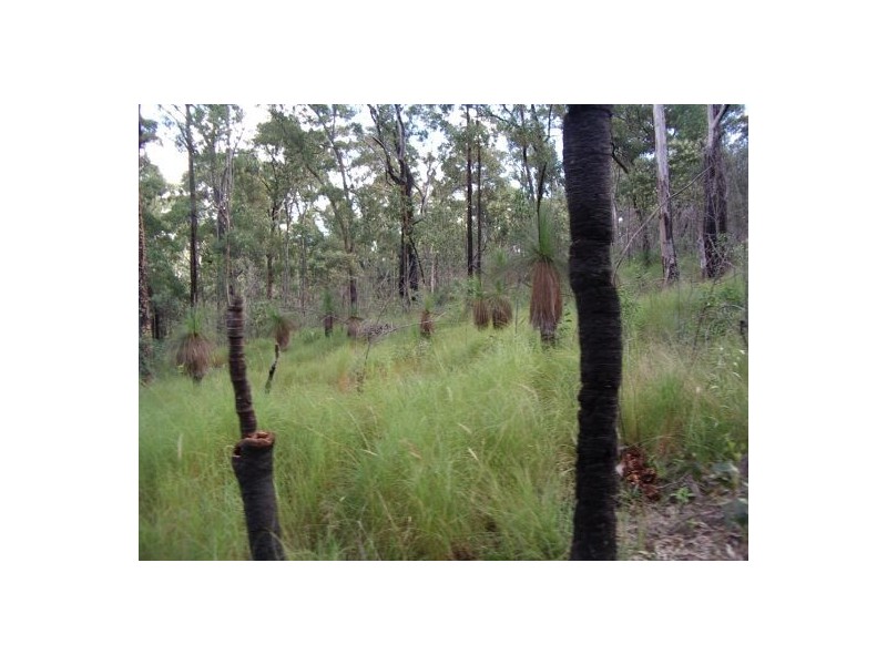 Ewingar NSW 2469