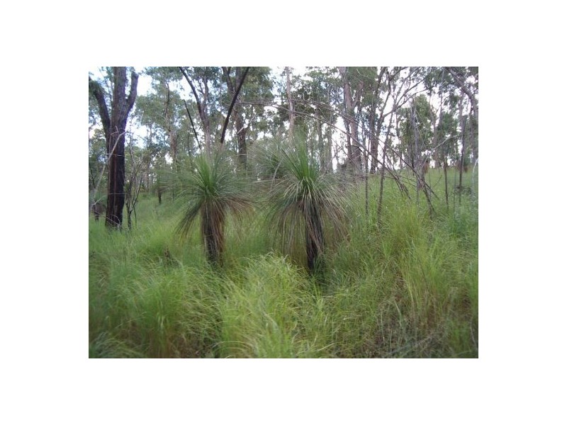 Ewingar NSW 2469