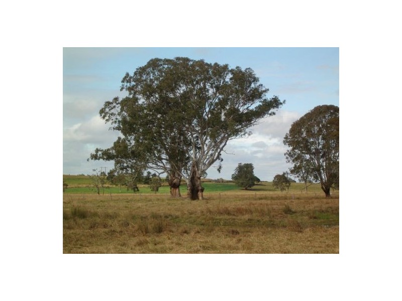 4623 Bruxner Hwy, Casino NSW 2470