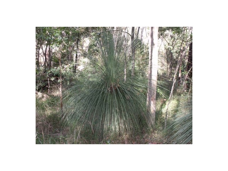 351b LONG GULLY ROAD, Drake NSW 2469