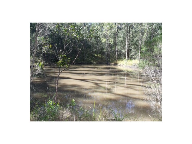 351b LONG GULLY ROAD, Drake NSW 2469