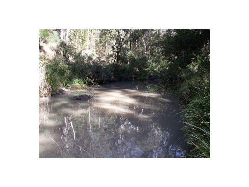 351b LONG GULLY ROAD, Drake NSW 2469