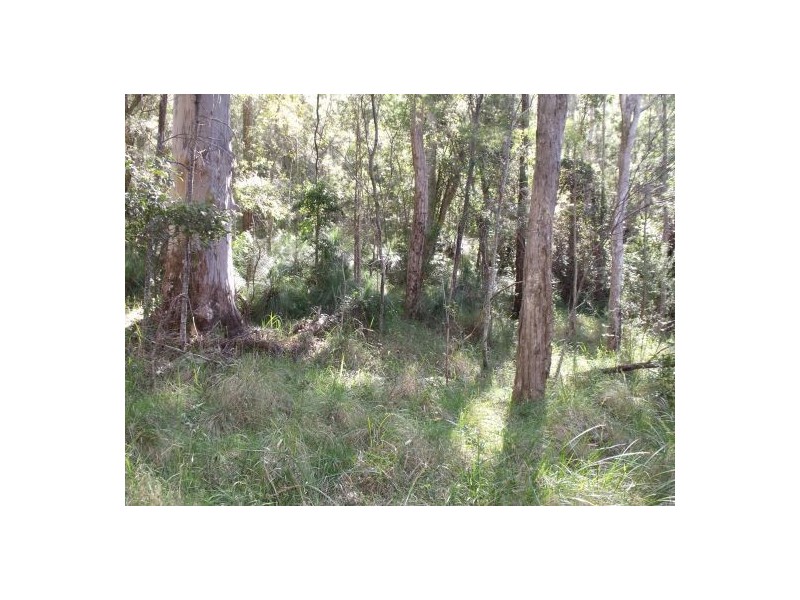 351b LONG GULLY ROAD, Drake NSW 2469