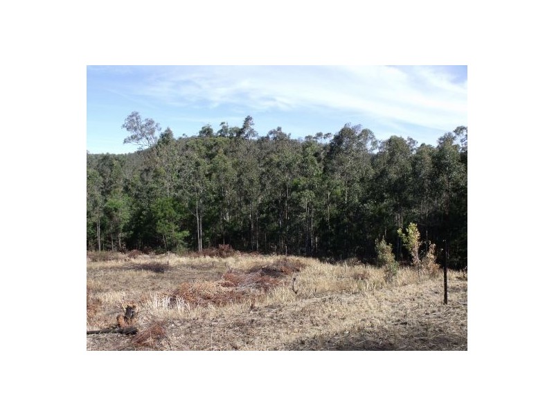 351b LONG GULLY ROAD, Drake NSW 2469