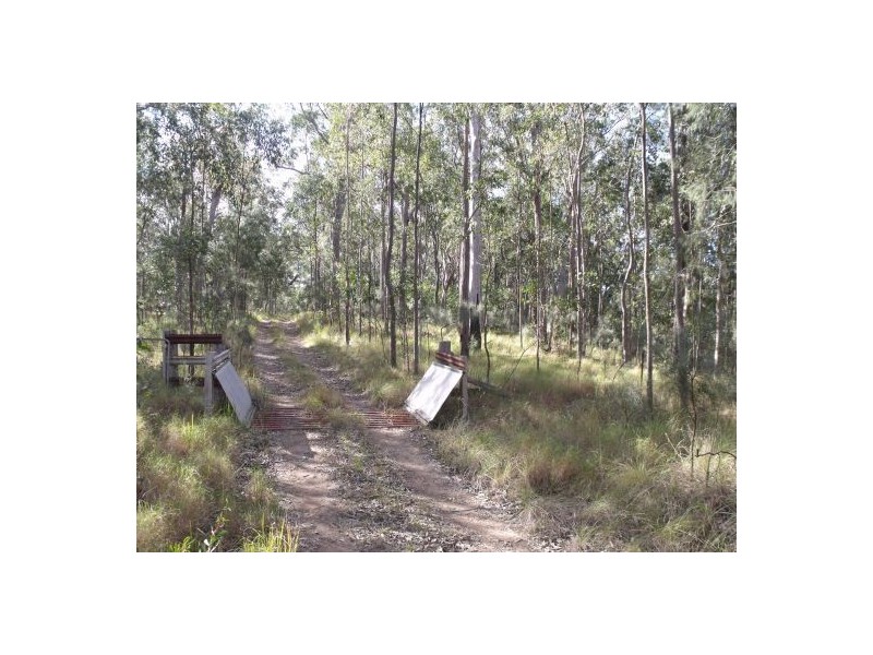 351b LONG GULLY ROAD, Drake NSW 2469