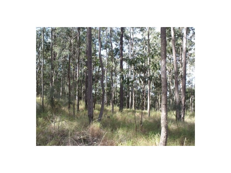 351b LONG GULLY ROAD, Drake NSW 2469