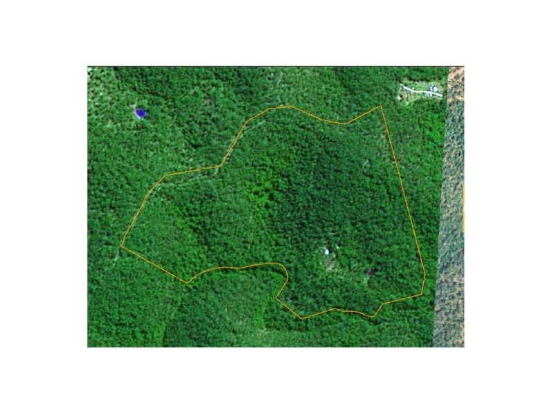 351b LONG GULLY ROAD, Drake NSW 2469