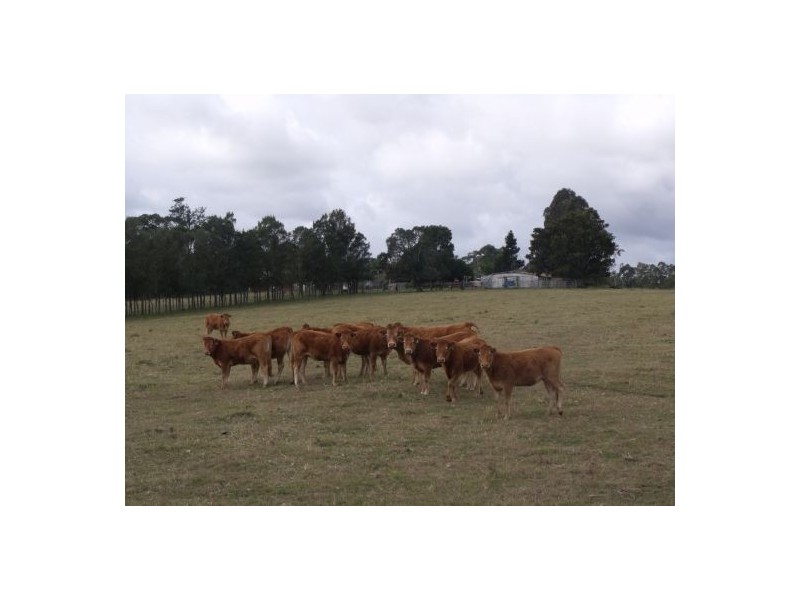 595 Reynalds Rd, Casino NSW 2470