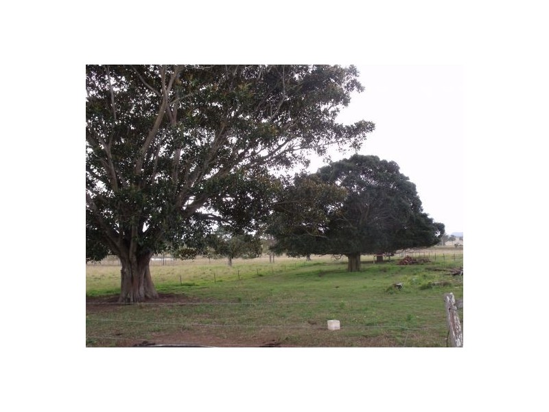 595 Reynalds Rd, Casino NSW 2470