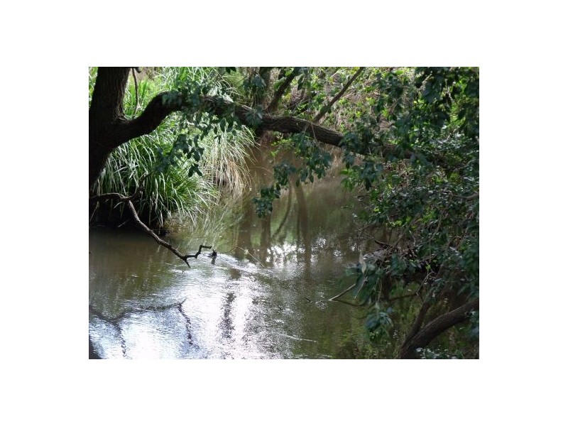 6 SAUNDERS ROAD, Casino NSW 2470