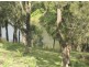 Tatham NSW 2471