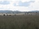Tatham NSW 2471
