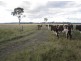 Tatham NSW 2471
