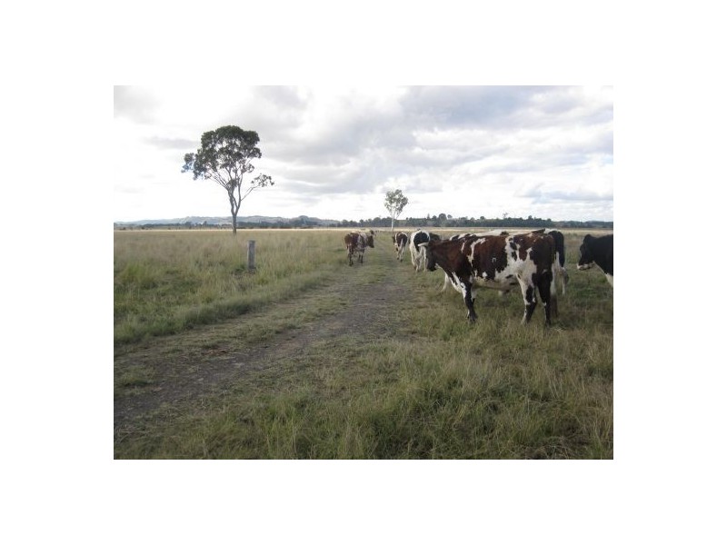 Tatham NSW 2471