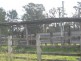 Tatham NSW 2471