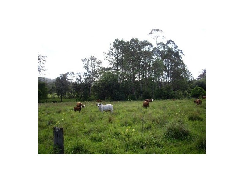 1868 Cawongla Road, Kyogle NSW 2474