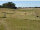 805 Shannonbrook Road, Casino NSW 2470