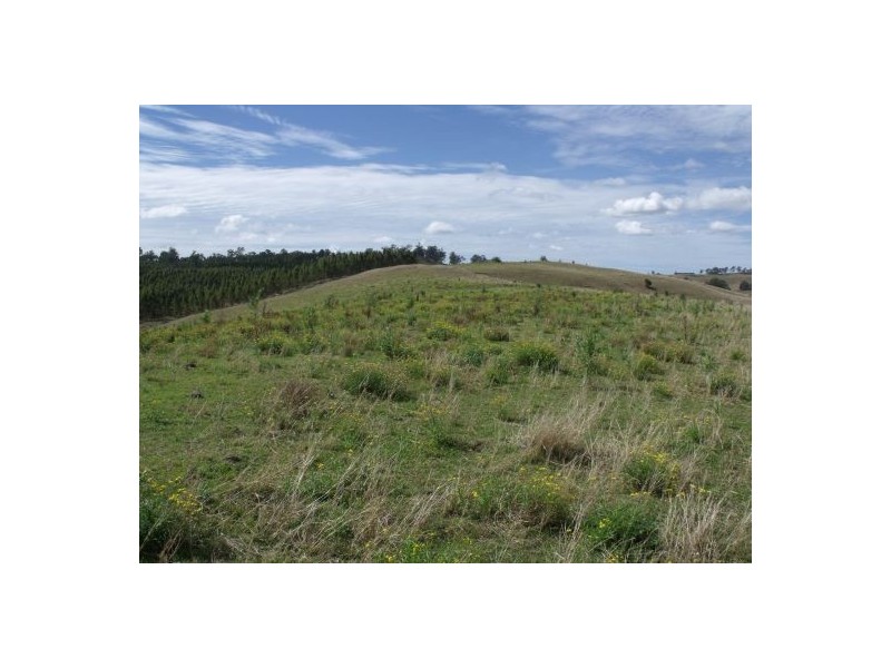 62 Parkes Road, Casino NSW 2470