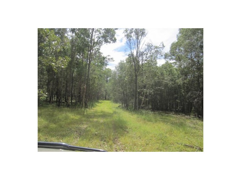 1282 Old Tenterfield Rd, Rappville NSW 2469