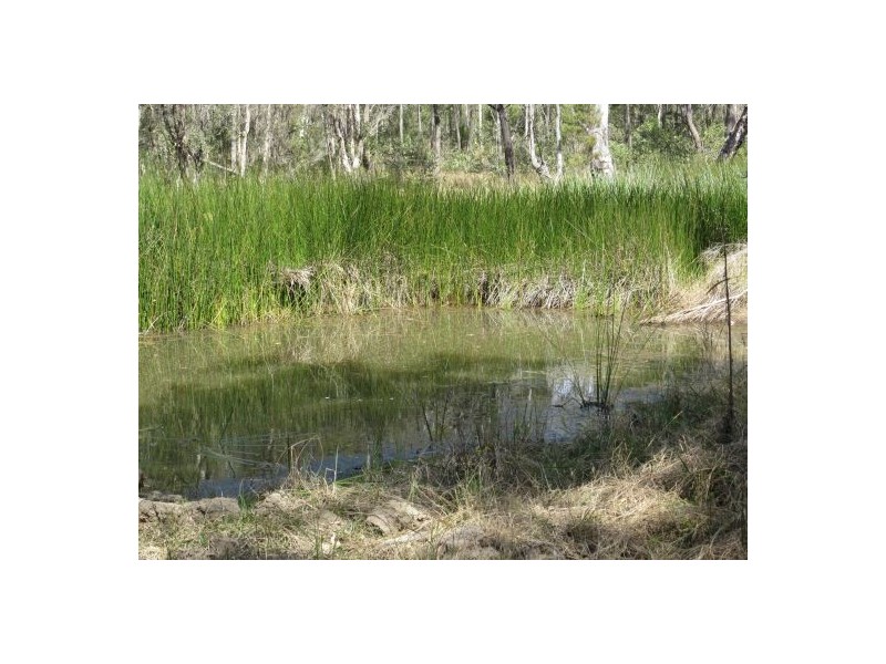 1282 Old Tenterfield Rd, Rappville NSW 2469