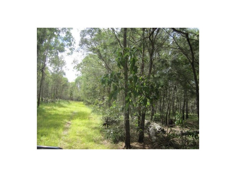 1282 Old Tenterfield Rd, Rappville NSW 2469