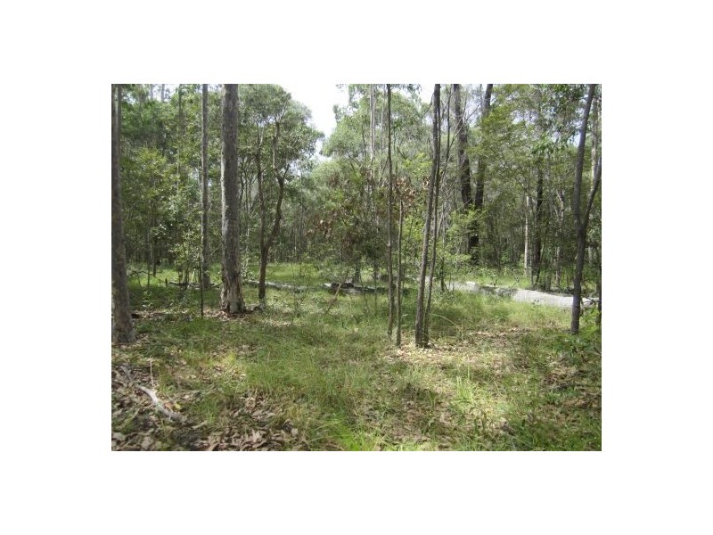 1282 Old Tenterfield Rd, Rappville NSW 2469