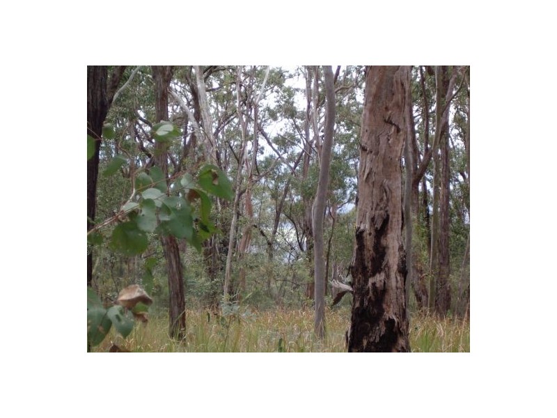 1 Ogilvy Drive, Tabulam NSW 2469