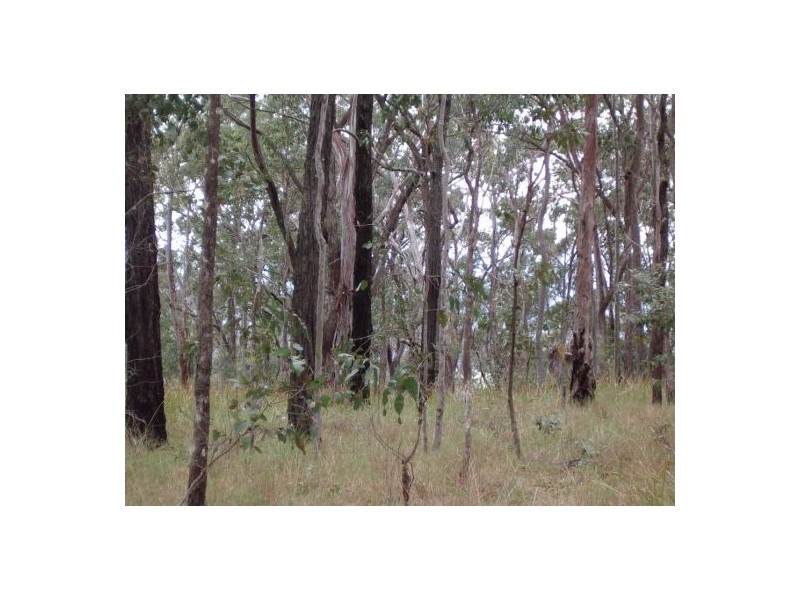 1 Ogilvy Drive, Tabulam NSW 2469