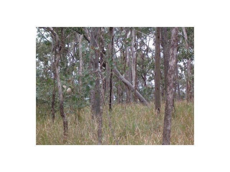 1 Ogilvy Drive, Tabulam NSW 2469