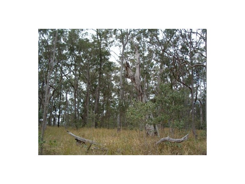 1 Ogilvy Drive, Tabulam NSW 2469