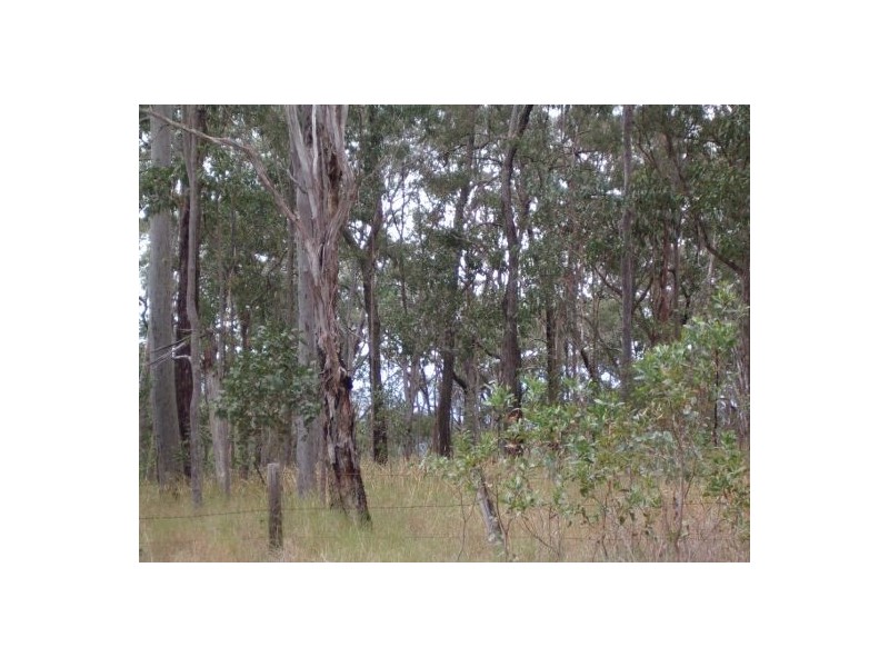 1 Ogilvy Drive, Tabulam NSW 2469