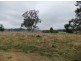 Lismore NSW 2480