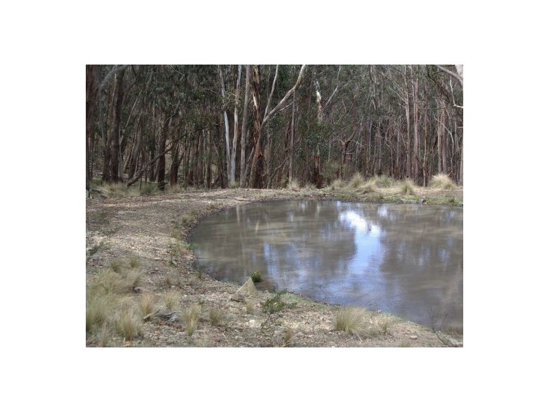 Lot 76 Ten Mile Rd, Deepwater NSW 2371