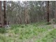 Lot 76 Ten Mile Rd, Deepwater NSW 2371