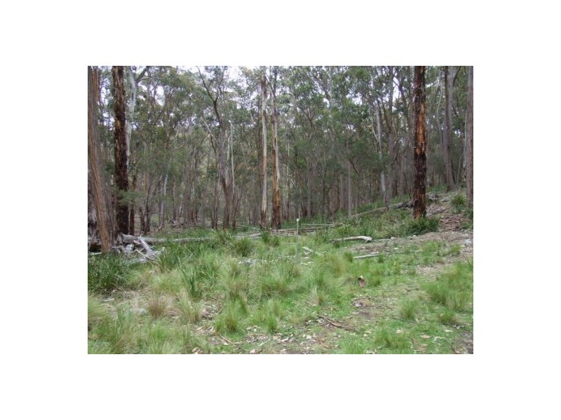 Lot 76 Ten Mile Rd, Deepwater NSW 2371