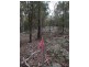 Lot 76 Ten Mile Rd, Deepwater NSW 2371
