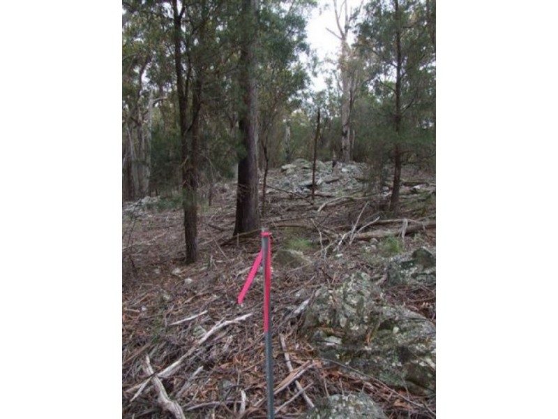 Lot 76 Ten Mile Rd, Deepwater NSW 2371