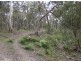 Lot 76 Ten Mile Rd, Deepwater NSW 2371